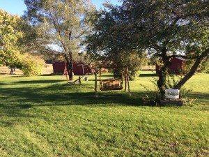 Farm summer scene